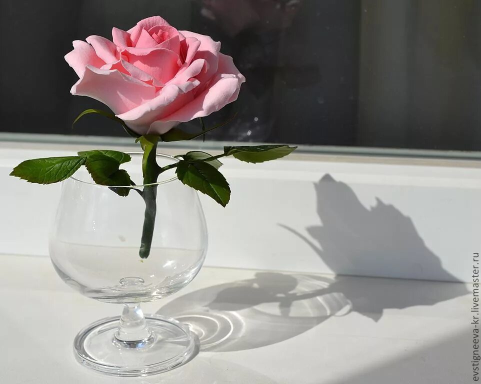 Цветы в прозрачной вазе. Один цветок в вазе.