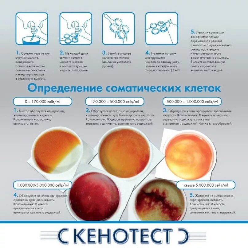 Определение количества соматических клеток