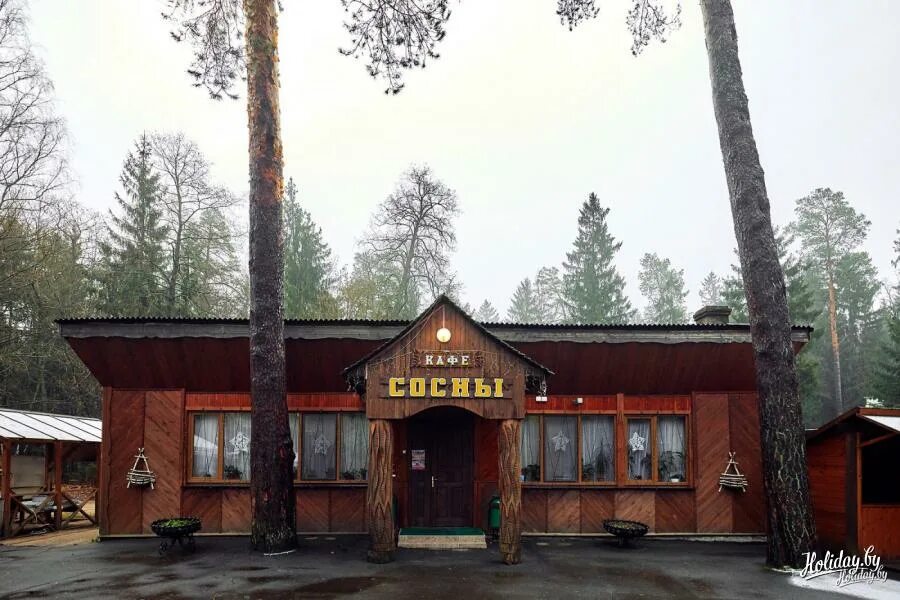 Ресторан экстерьер. Ресторан сосны. Сосны стерлитамак кафе. Роскошный grand chalet altay 5. Рестораны сосенки.