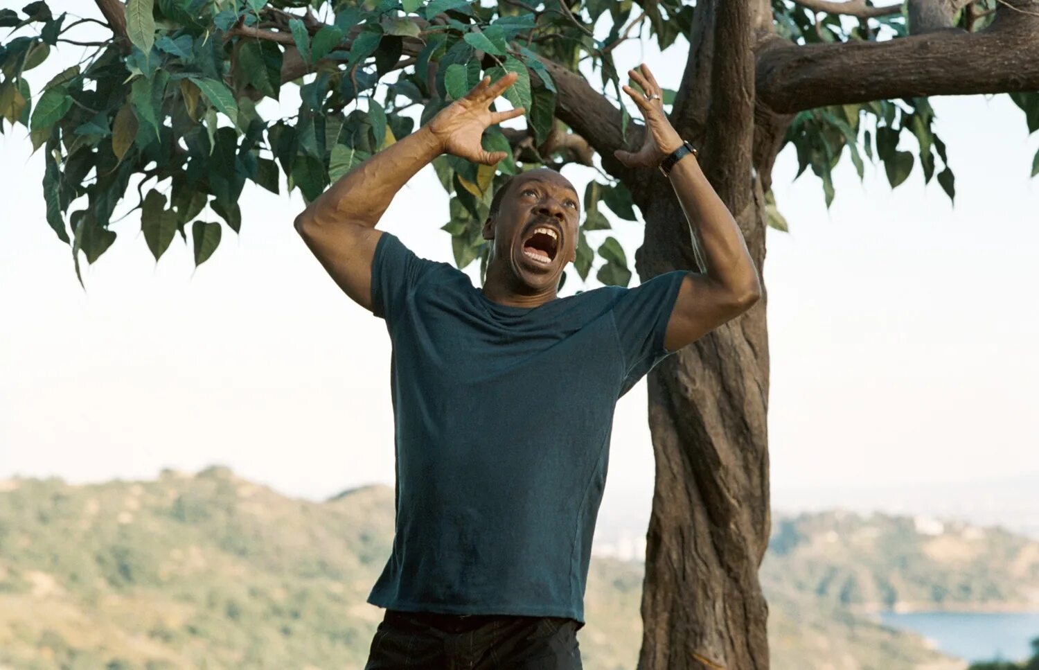 1000 текстов английский книга. первая тысяча слов. эдди мерфи тысяча слов. эдди мерфи 1000 слов. первая тысяча слов.