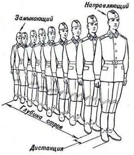Первый в строю как называется