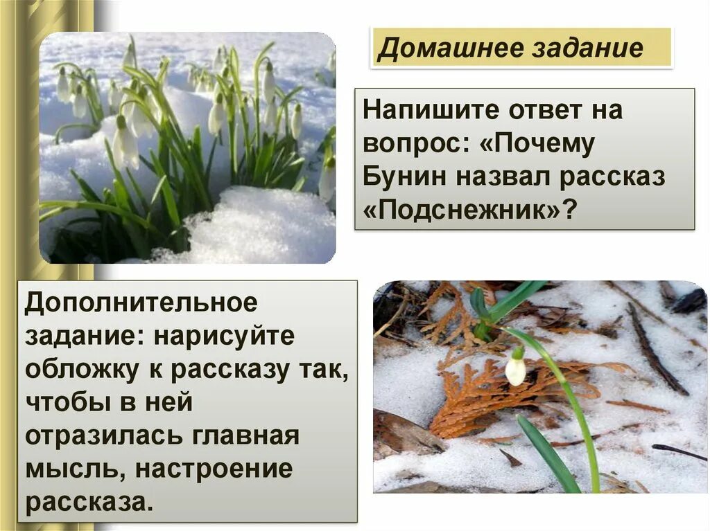 Бунин подснежник содержание. Подснежник бунина. произведение подснежник. бунин и. &quot;подснежник&quot;. подснежник задания.