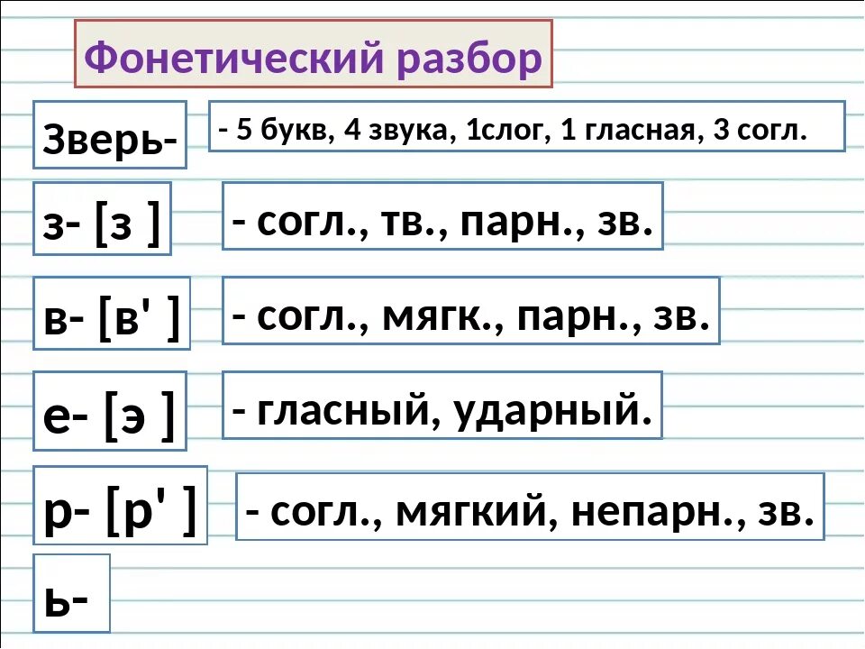 Напишут сколько звуков и букв в слове. Звуков буквенный анализ слов. Звуко-буквенный разбор слова зверь. Звука уквенный анализ слова. Фонетический разбор слова зверь.