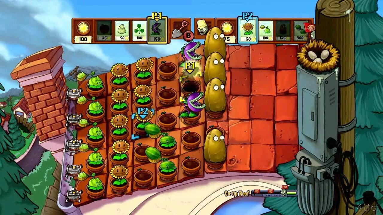 Pvz coop
