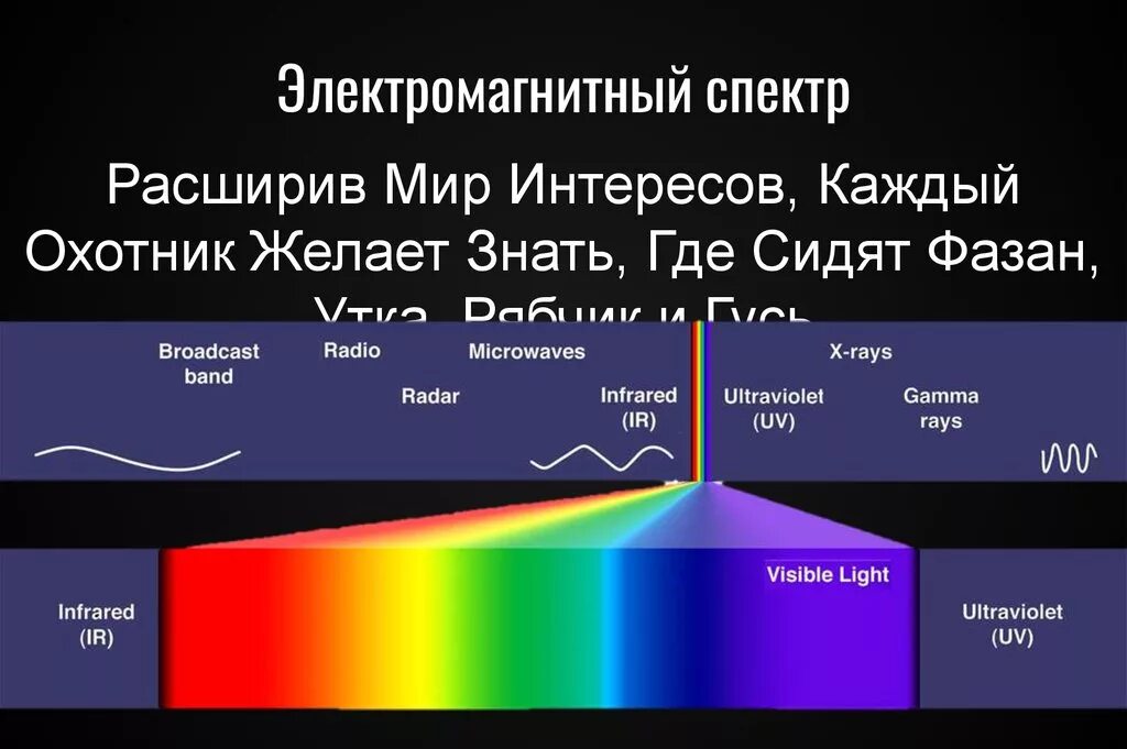 Область электромагнитного излучения. Электромагнитный спектр инфракрасное излучение. Спектр излучения электромагнитных волн. Спектр электромагнитных частот. Схема спектра световых излучений.