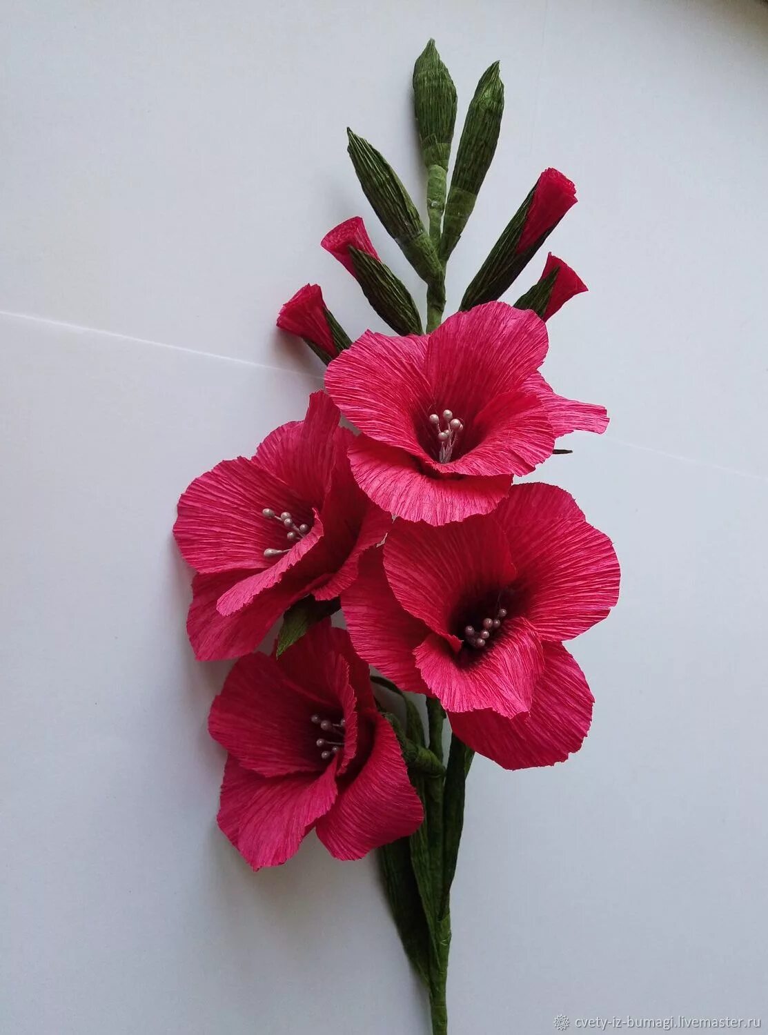 Гладиолусы в гофрированной бумаге. Цветы из гофрированной бумаги гладиолусы. Гладиолусы гербер букет. Как сделать гладиолусы. Ростовые гладиолусы.