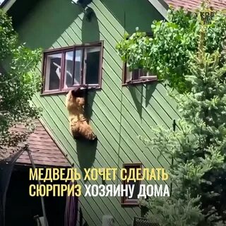 Съел дом