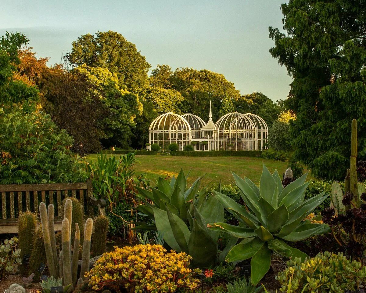 Ботанический сад ижевск. Ботанический сад Botanical Garden. Ботанический сад Южно-Сахалинск. Ботанический сад СПБ Дендрарий. Дендрарий в Ботаническом саду Минск.