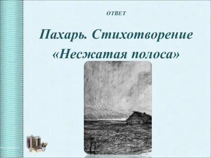 Несжатая полоса каким стихотворным размером написано стихотворение