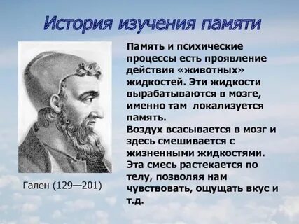 Гален вклад