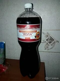 Выборы в коле