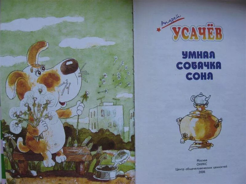 Книга про соню