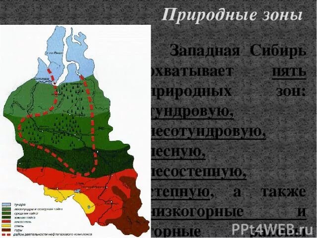 Природные зоны западной и восточной сибири. Природные зоны Западно сибирской. Природные зоны Западной Сибири. Природные зоны Западной Сибири карта. Границы природных зон Западной Сибири.