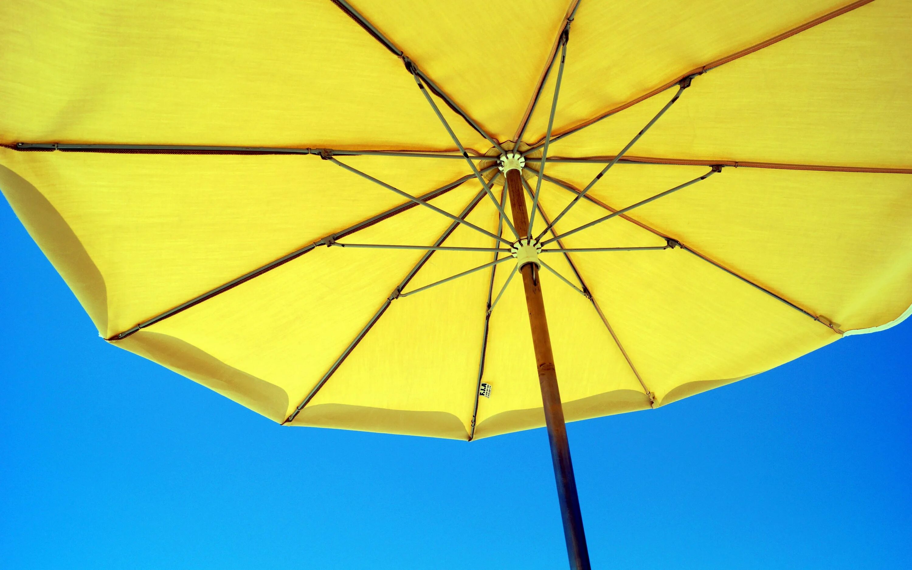 Это экзотика мокнешь без зонтика. Зонт желтый. Пляжный зонт желтый. Жёлтый зонт Эстетика. Желто синий зонт.