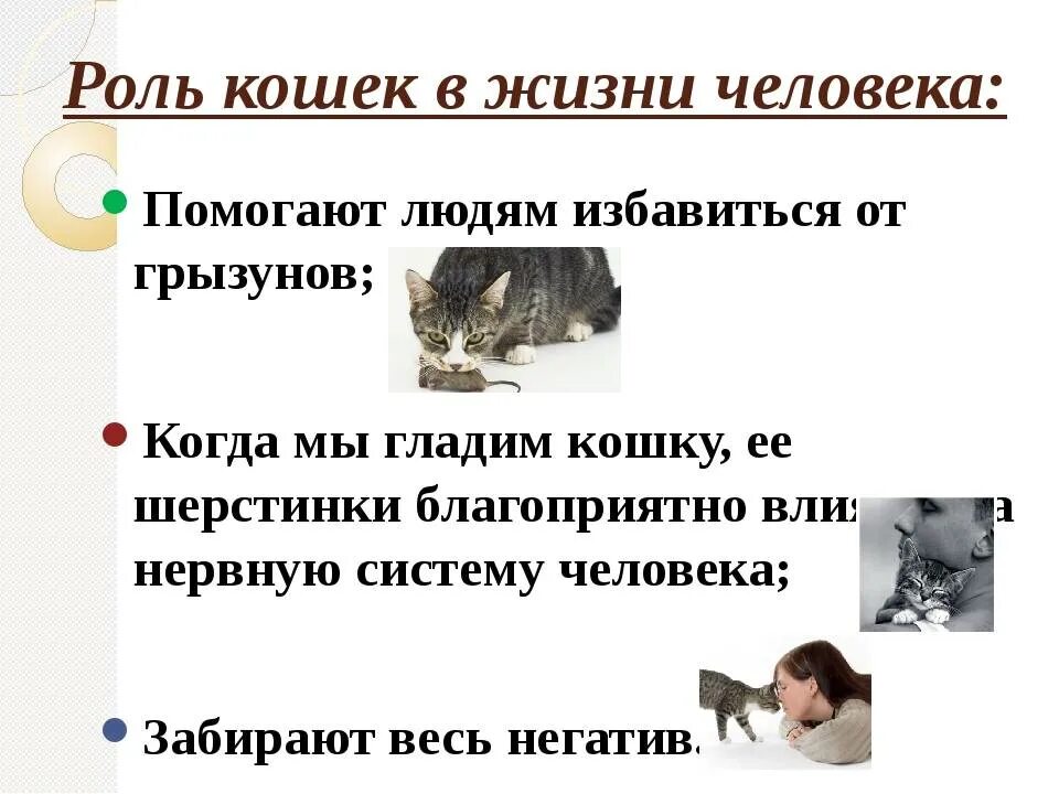 Играет роль кошки