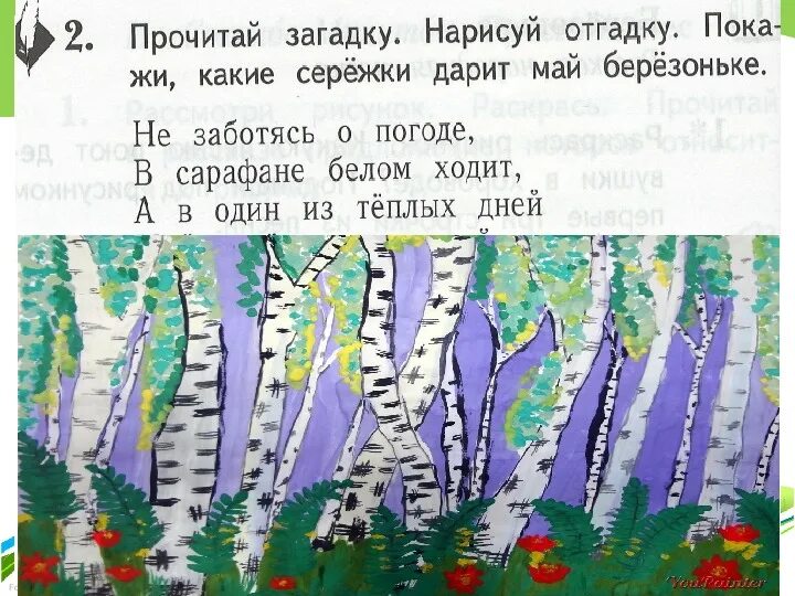 Прочитай загадки напиши отгадки. Прочитай загадку. Прочитайте загадку. Загадка про сережки. Схема слова береза 1 класс.