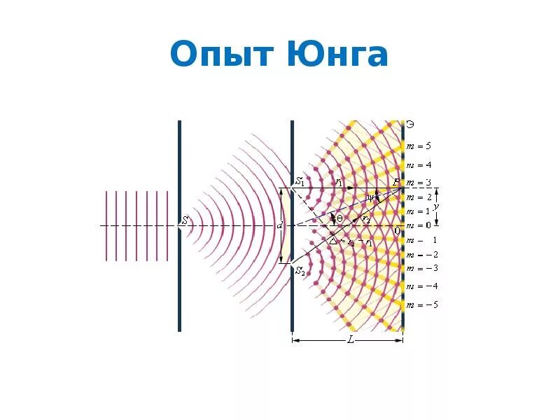 Интерференция схема. Опыт Томаса Юнга. Схема опыта Юнга по интерференции света. Опыт Юнга – интерференция от двух щелей..