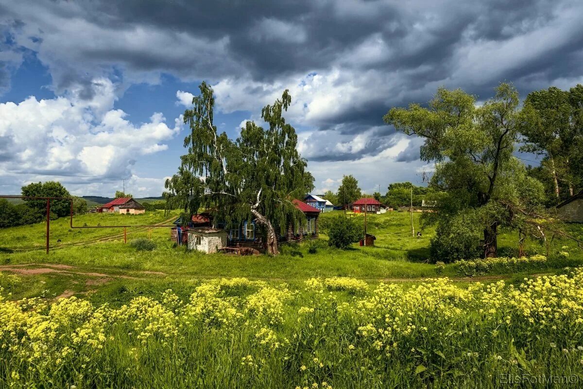 Красивая деревня. Деревня Мегра Вологодская пейзаж. Белгород природа деревня. Лето в деревне. Деревенский пейзаж.