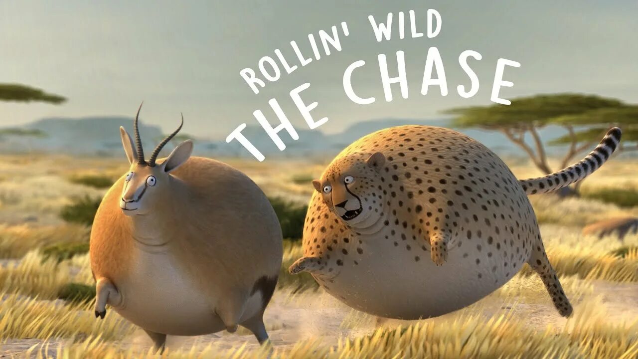 Rolling wild. Круглые животные. Шарообразные животные. Круглое сафари - Rollin-Safari.