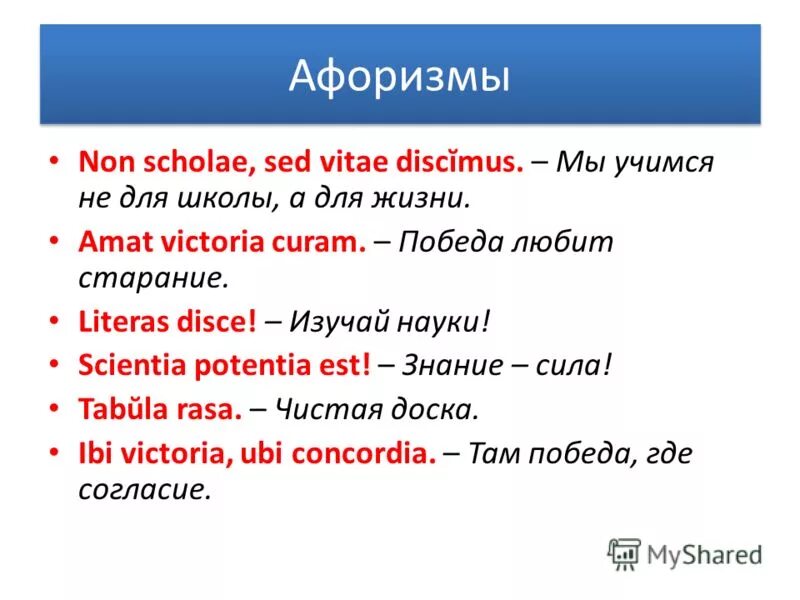 Vitae non scholae discimus. Victory loves preparation amat victoria curam. non scholae sed vitae discimus. amat victoria curam перевод.