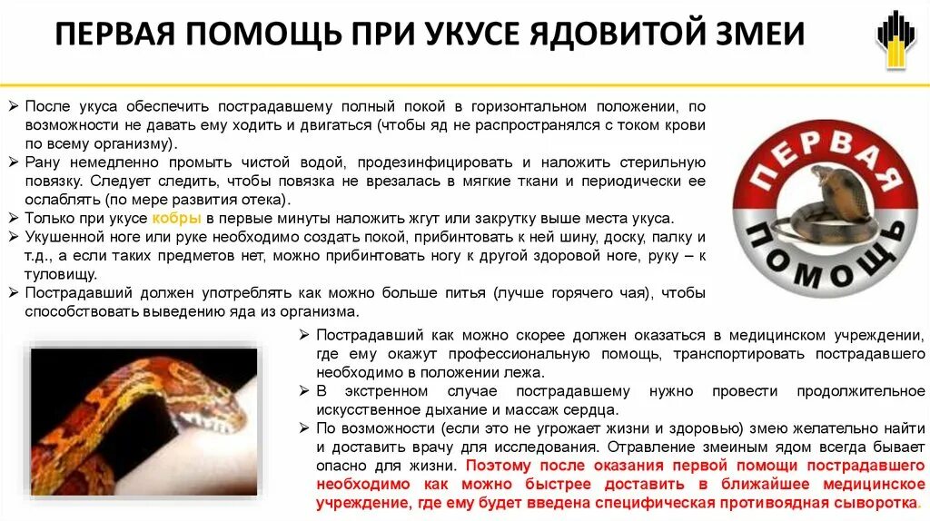 Правила позволяющие избежать укуса ядовитой змеи. При укусах ядовитых змей. При укусе ядовитой змеи:. При укусе ядовитой змеи необходимо.