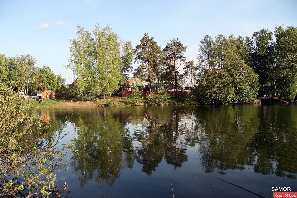 серебряный пруд салтыковка фото. салтыковка пруд. тарелочкин пруд салтыковка. желтый пруд в салтыковке. салтыковка пруд.