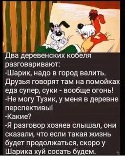 Пес шарик - 61 фото