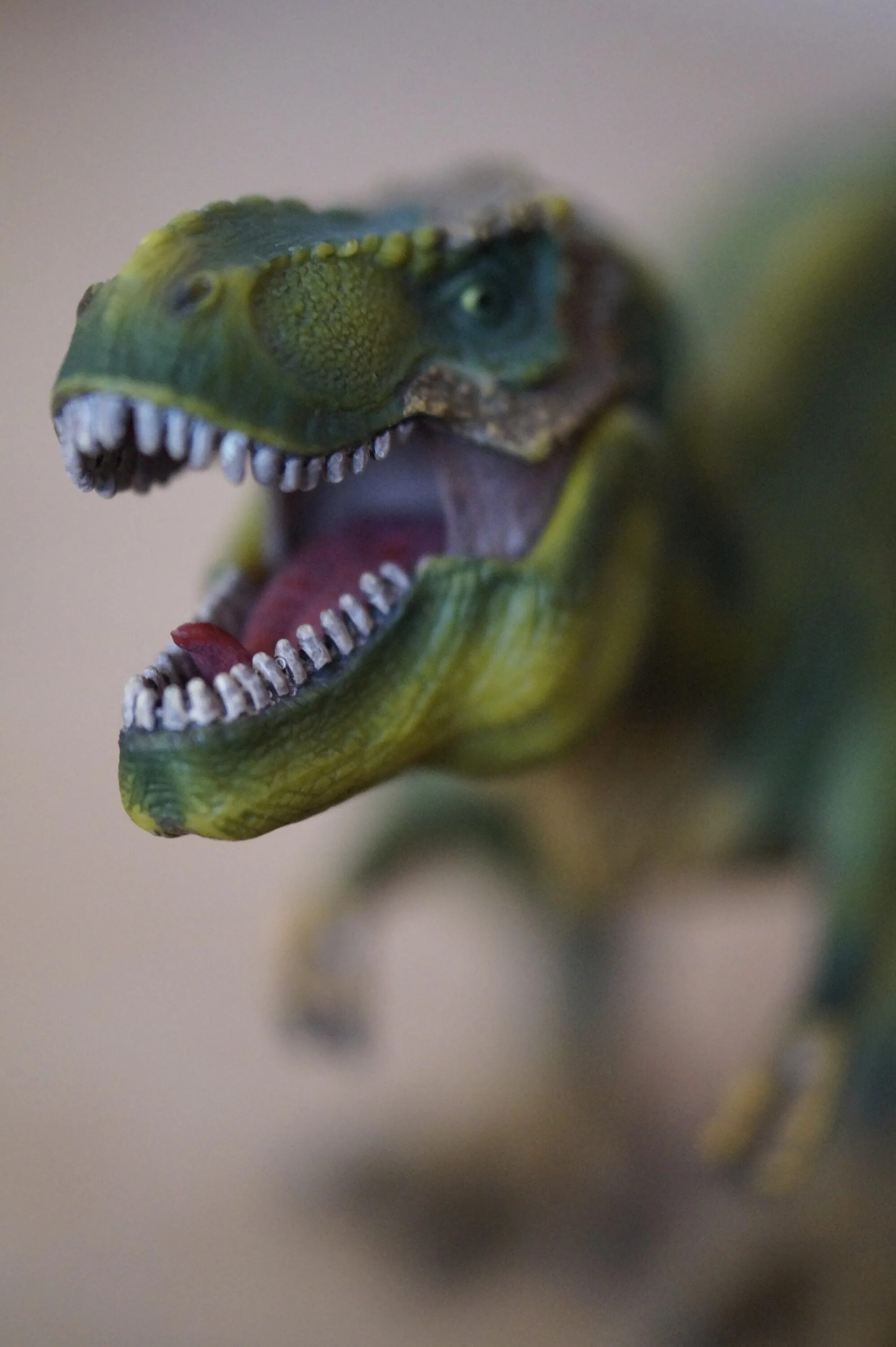 Зубы тираннозавра Рекса. Зубы динозавров Тирекс. Тираннозавр рекс хищник. Динозавры хищники.