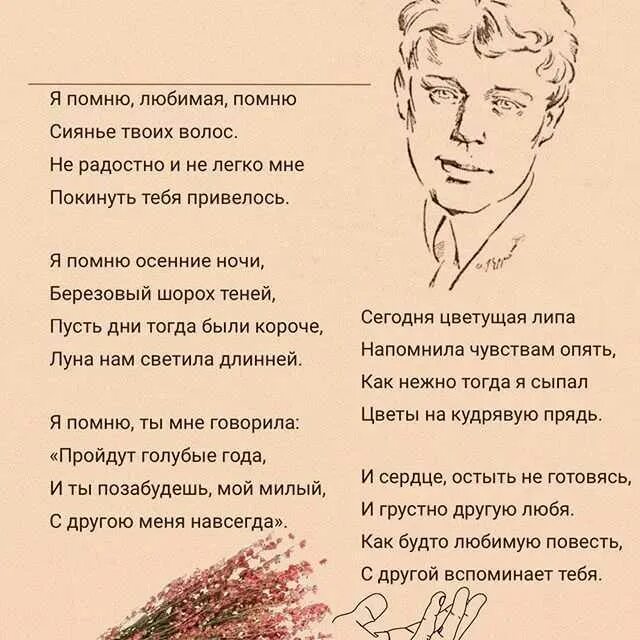 Стихи Есенина. Есенин с. "стихи". Стих про е.