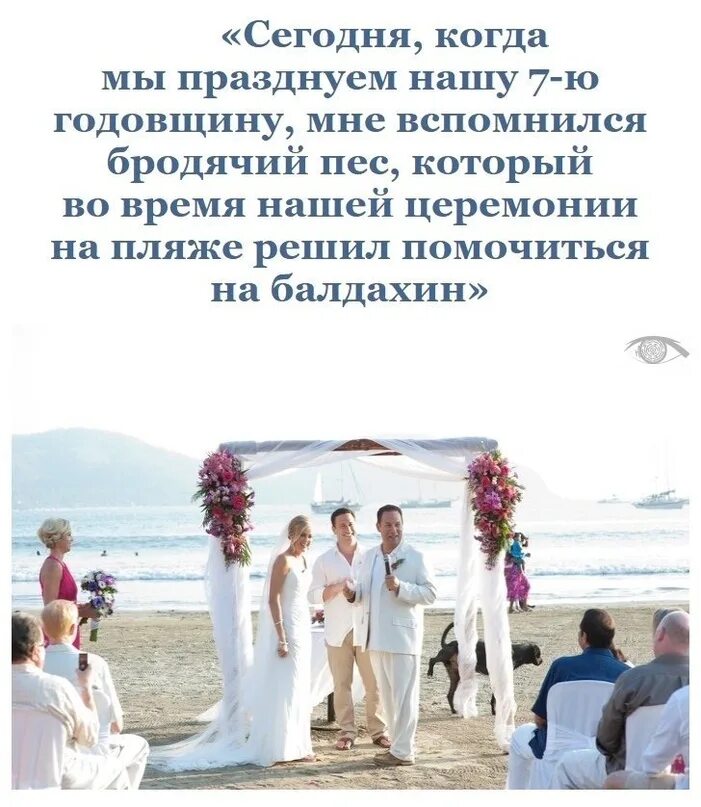 День свадьбы цитата. Афоризмы про свадьбу. День свадьбы цитата. Красивое выражение на свадьбу. Свадебные плакаты.