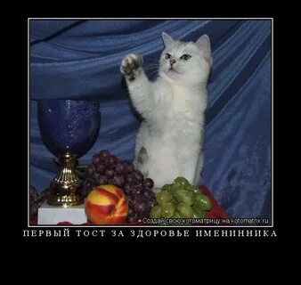 Тост за здоровье не пьют