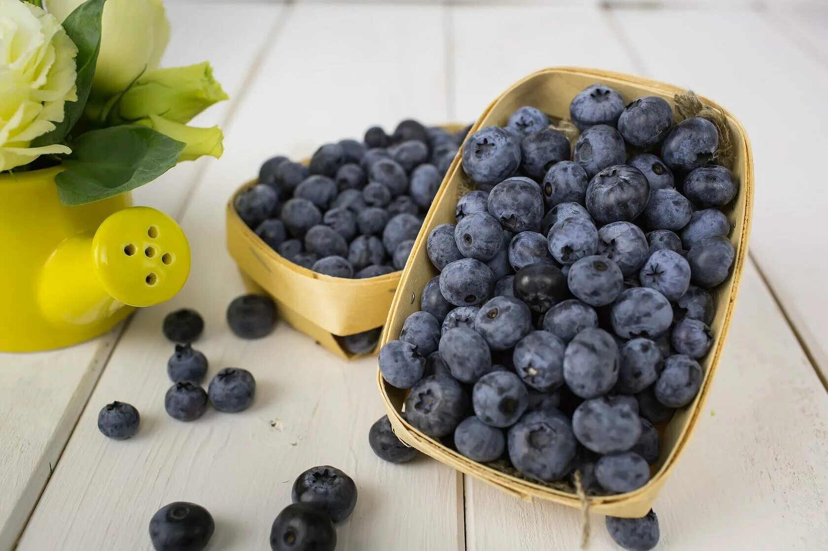 Голубика утром. Черника blueberry. палитра голубика черника. черника и голубика. круглые ягоды.
