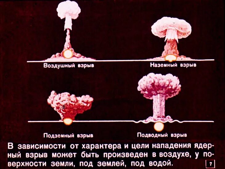 Не ем наземных