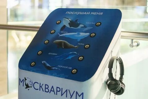 Москвариум магазин