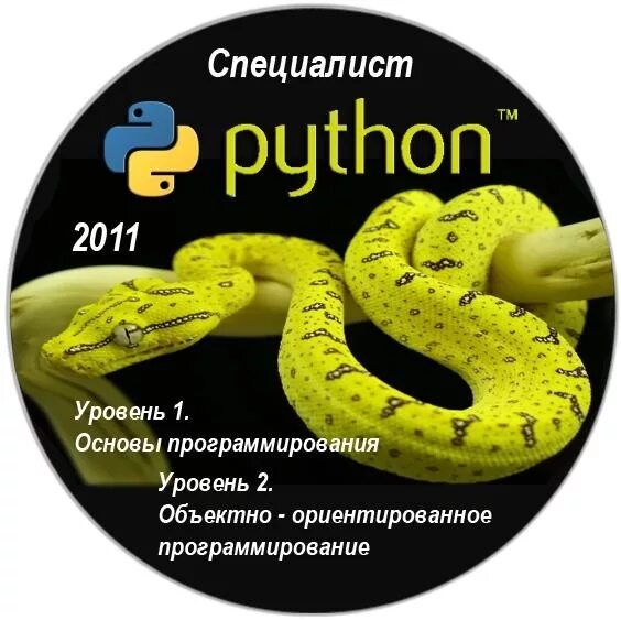 Основы языка python. Питон программирование. язык программирования python. пайтон язык программирования. основы питона.