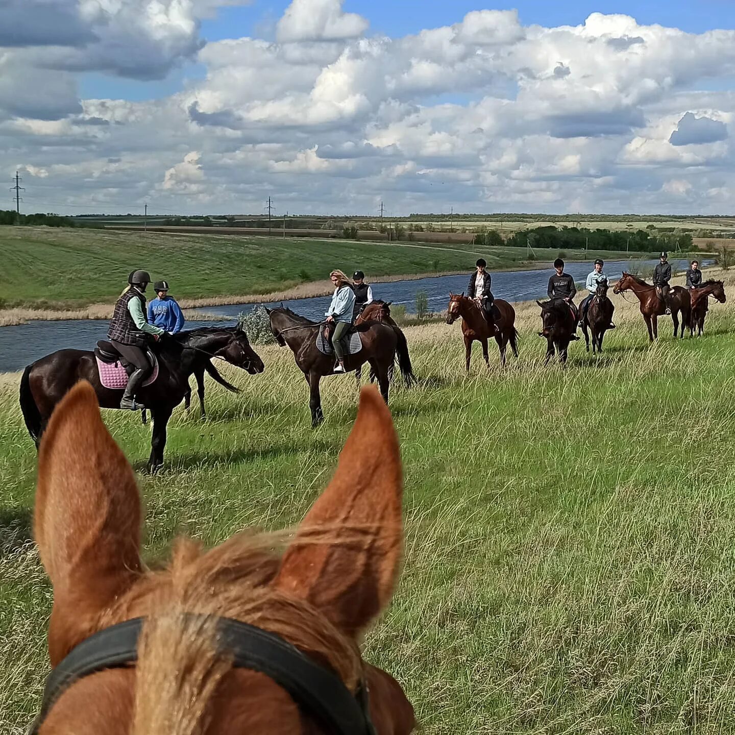 Кск самара. Село Парфеновка Самарская область. Парфеновка Кинельский район. Парфёновка Самарская область Кинельский район. Село Парфёновка Кинельский район Самарской области.