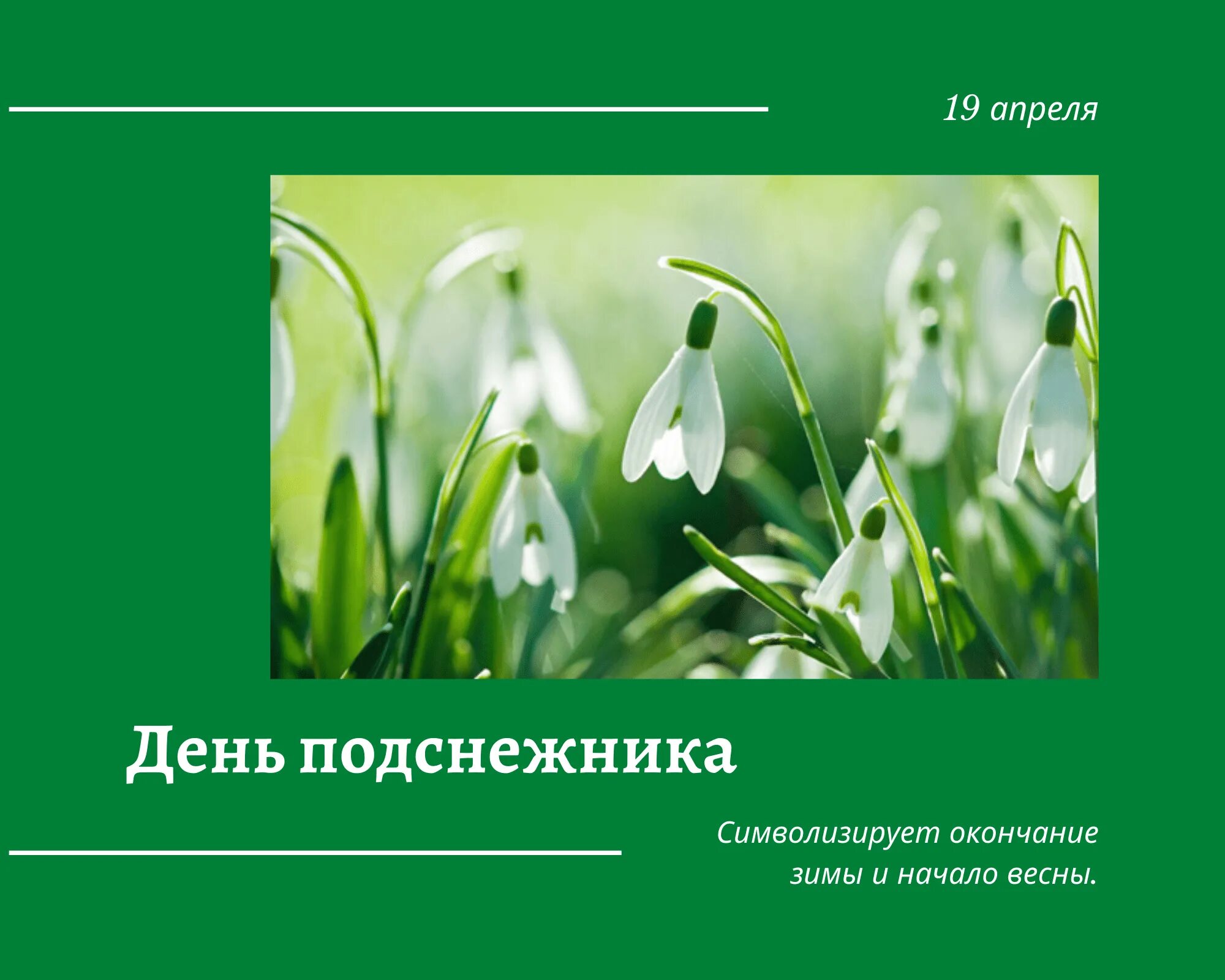 Какой сегодня 8 апреля. День подснежника. 19 Апреля день подснежника. День подснежника 2021. Подснежники фото.