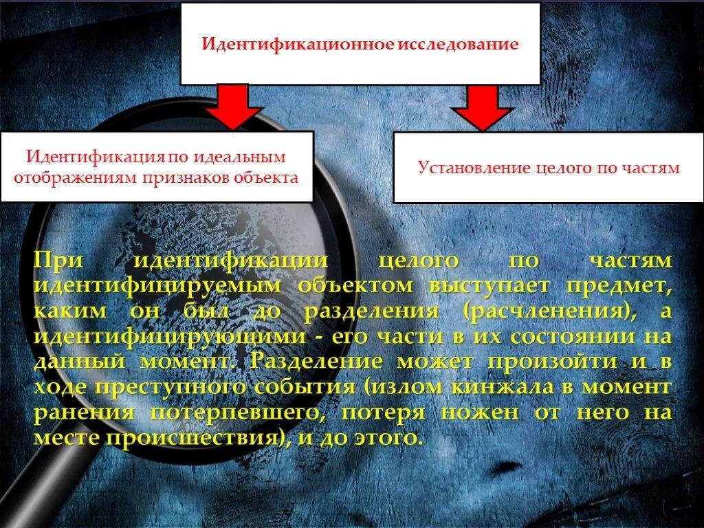 Идентифицирующее поле