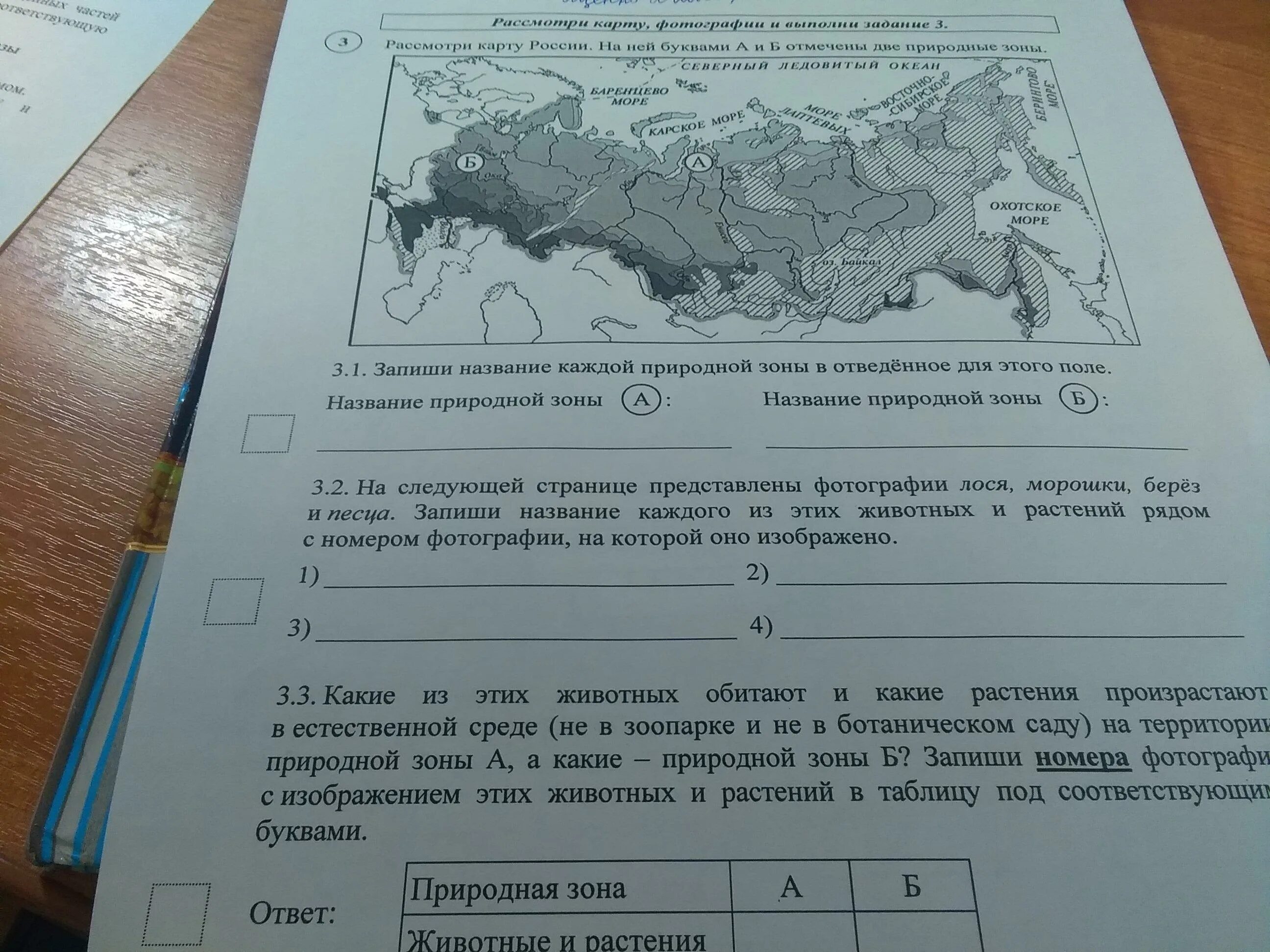 Природно хозяйственные зоны россии задания