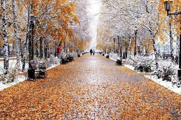 заканчивается теплая но сухая зима. заканчивается теплая но сухая зима. зимняя фотосессия. зима солнце. ранняя зима.