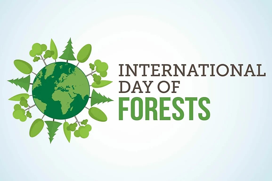 Оон леса. Международный день леса. International Day of Forests. Международный день леса (International Day of Forests).