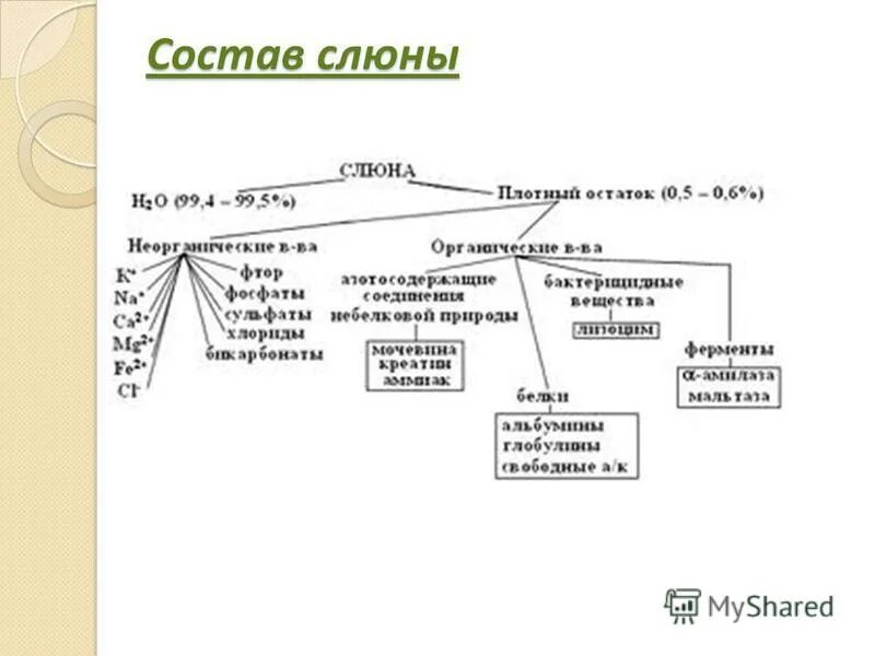 состав слюны и ротовой жидкости