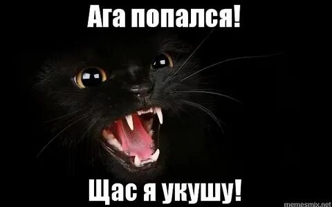 Ага ты не знаешь