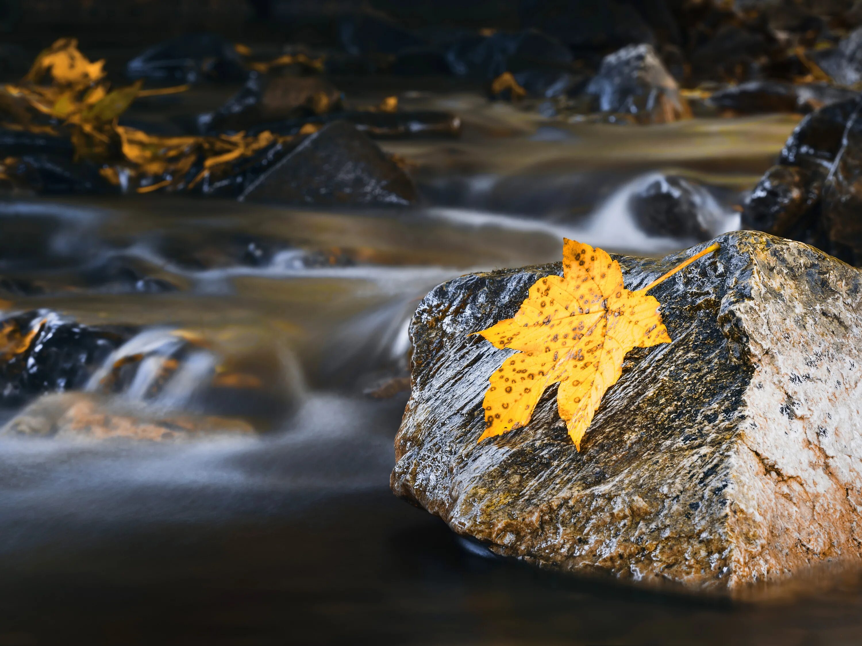 Stone fall. Осень камни. Осень камни вода. Осенние листья на камнях. Осень вода.