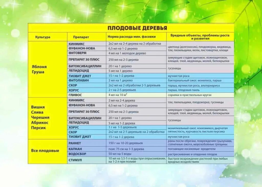 При какой температуре весной можно опрыскивать деревья. График обработки плодовых деревьев от вредителей и болезней. Схема обработки плодовых деревьев от болезней и вредителей. График обработки плодовых деревьев весной от вредителей и болезней. Таблица обработки плодовых деревьев.