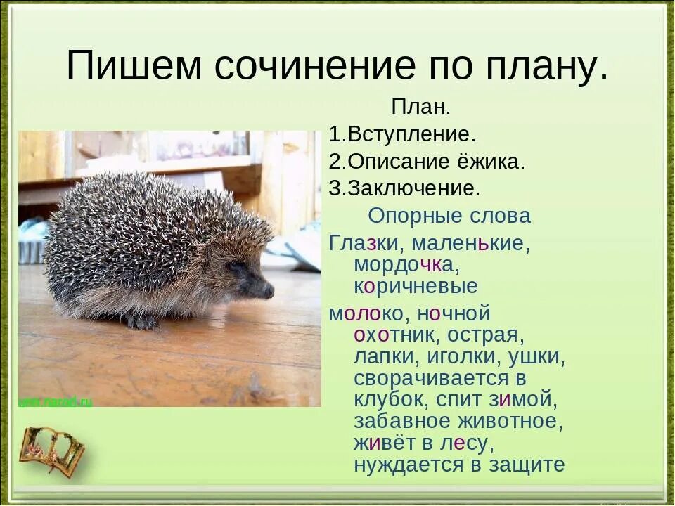 Какие слова на еж
