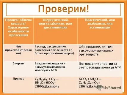 Какие вещества энергетические