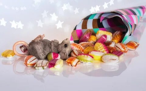 К чему снится кушать конфеты
