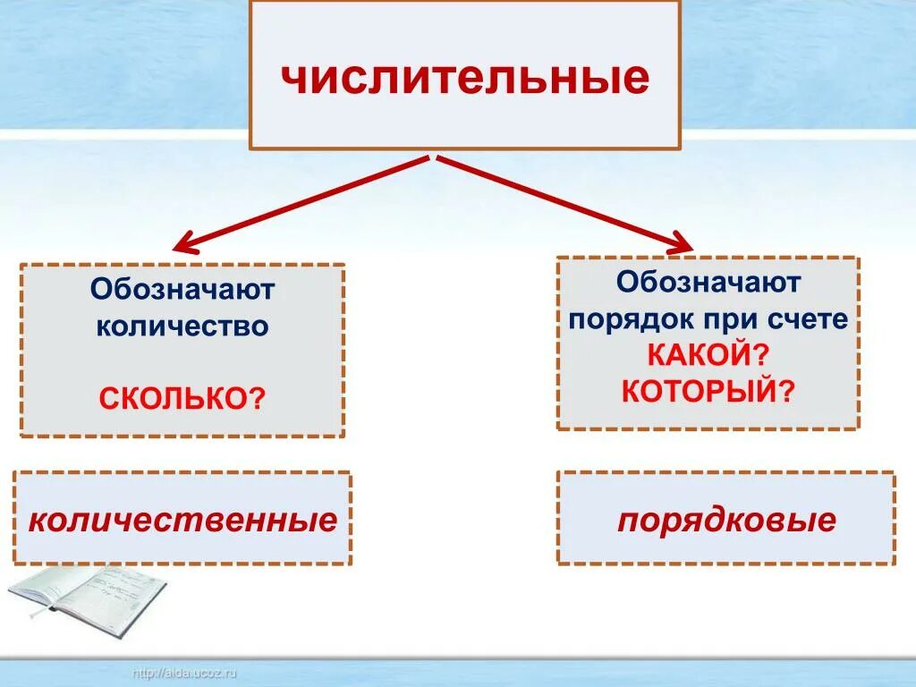 Имена числительные делятся на 2 группы. Количественные и порядковые числительные. Числительные порядок при счете. Что обозначают количественные числительные. Числительные, обозначающие порядок при счёте.