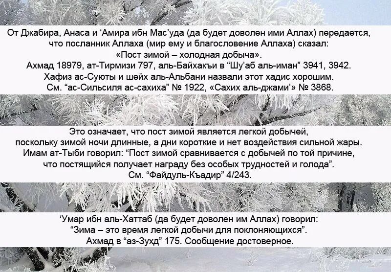 рождество календарь. кубань зима церковь. с рождественским постом поздравления. рождество христово пост. пост в зимнее время.